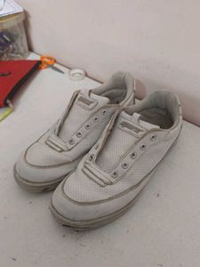 Sparx White Sneakers