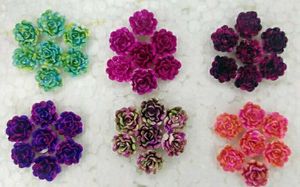 Plastic Stud Earrings