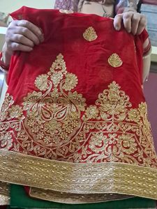 Green-Red Party Saree with Blouse (36)