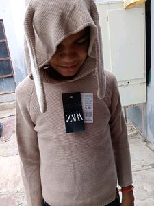 Beautiful Bear Style Sweater