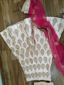 Elegant Lehenga Choli