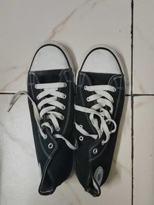 Converse Shoes