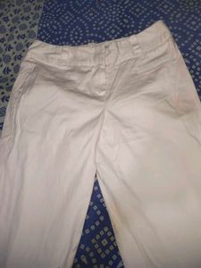Women  Office Pants