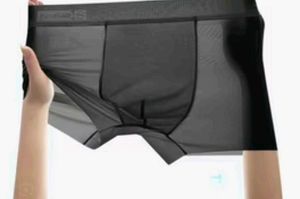 Sheer Mesh Boxer Briefs