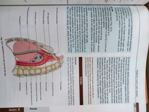 BD Chaurasia Anatomy Volume 1 And 2  Textbook