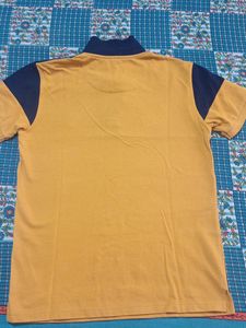 Cotton Casual Polo Regular Fit Shirt