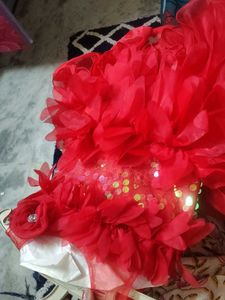 Brand New Party Flared Frock (12-18 Months)