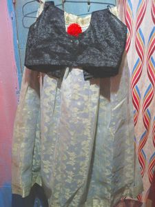 Red &amp; Silver Sari