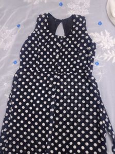 Shrag Dress