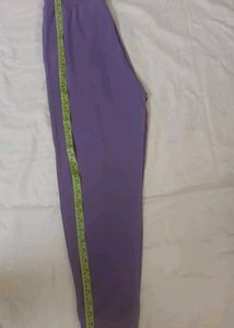 Purple Jogger / Track Pants