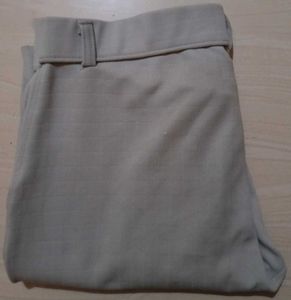 INDICLUB Regular Fit Men Silver Trousers
