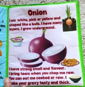 SOFT CLOTH BOOKS - HEALTHY VEGETABLES