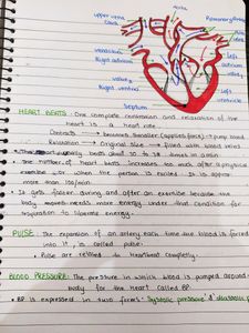 CLASS-10  SCIENCE HANDWRITTEN NOTES
