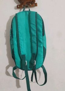 Quechua Green Backpack
