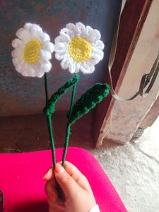Corchet Daisy