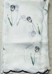 off White orgenza Saree