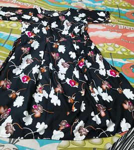 Floral Print Fit & Flare Dress