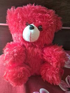 Teddy  Bear