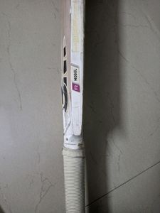 GM Mogul F2 Bullet ( English Willow ) Bat