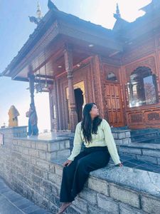 Stylish Knit Sweater