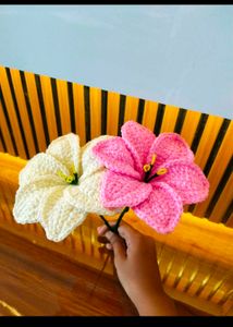 Crochet Coloured Lilly Pack 💕