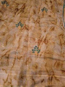 Sparkling Sequence Pattern Saree With Blouse
