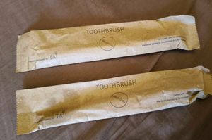 Toothbrushes (Set of 2)