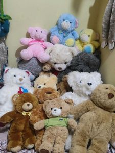 Bundle Of Teddy