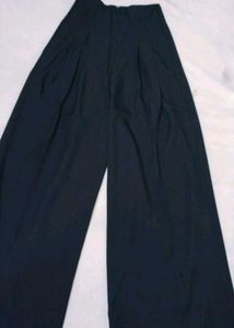 Wide Leg Pleated Pants