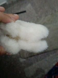 White Furry Earmuffs