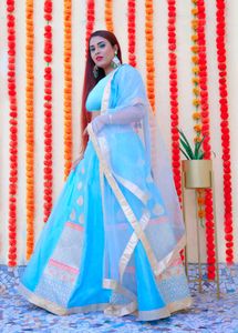 Choli Lehenga Set