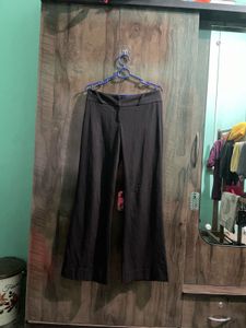 Formal Pants Flare