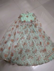 Elegant Mint Green Lehenga Choli