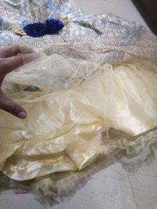 Glittering Dress