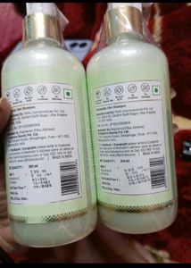 (Pack Of 2) St.Botanica Tea Tree Shampoo