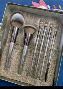 Swiss Beauty 6pcs Brush Set
