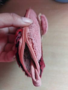 Pink Bow And Blue Coin Pouch