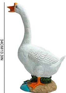 Combo Beautiful Collectible Nd Decoratible Item