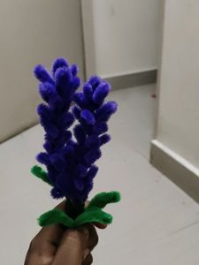 Lavender Flower