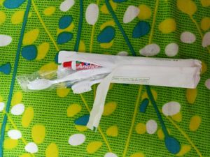 Sleek And Smart Travel Dental Kit