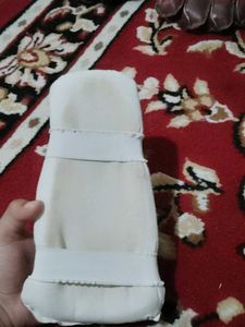 SS Cricket Guard