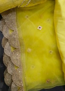 Bride Lahenga Choli With Dupatta