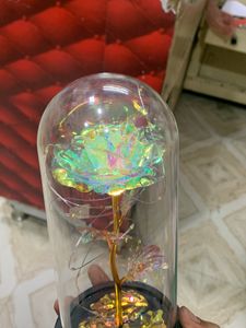 Rose Light
