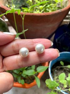 Classic Pearl Stud Earrings