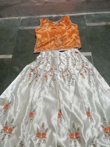Embroidered Lehenga Choli Set