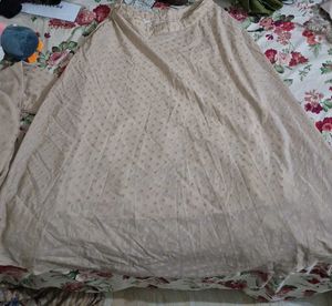 Elegant Ethnic lehenga set