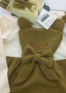 Party Wear Frock