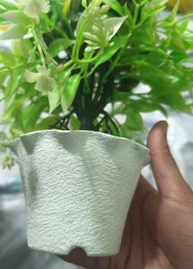 3 Combo Set Of Mini Pot With Decorative Plants