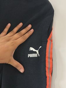 Puma lowers