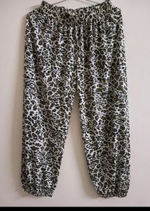 Heram Pant Casual Wear
